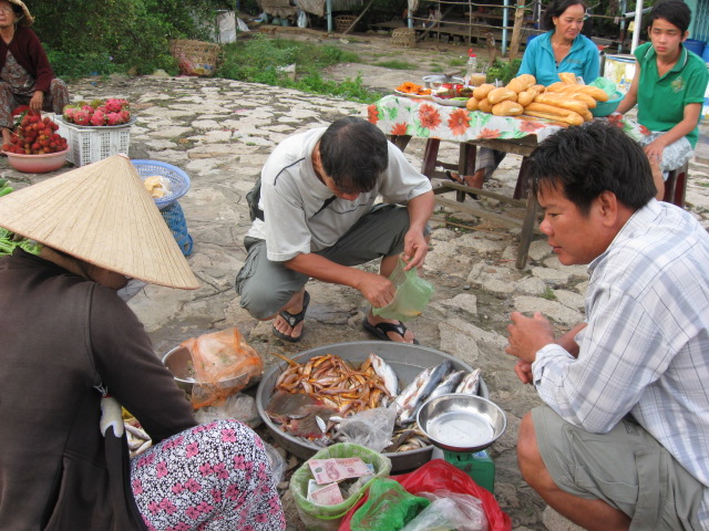 Collecting fihs samples from local market